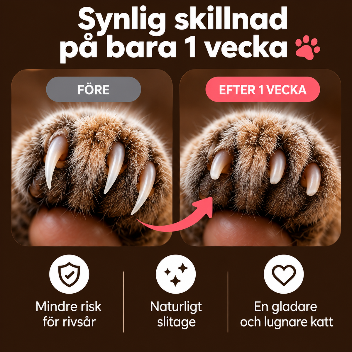 Purrly Klofil™ - Låt katten fila klorna själv.