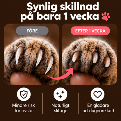 Purrly Klofil™ - Låt katten fila klorna själv.